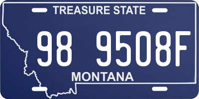 MT license plate 989508F