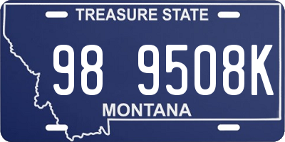MT license plate 989508K