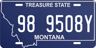 MT license plate 989508Y