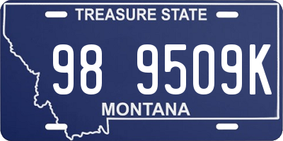 MT license plate 989509K