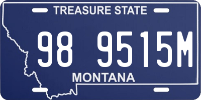 MT license plate 989515M