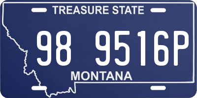 MT license plate 989516P