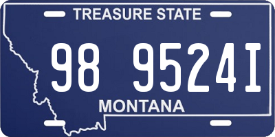 MT license plate 989524I