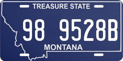 MT license plate 989528B