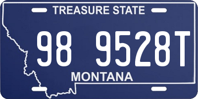 MT license plate 989528T