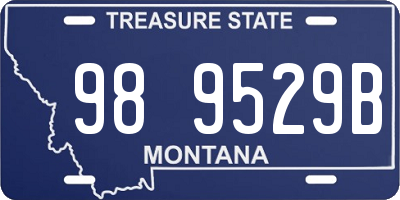 MT license plate 989529B