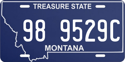 MT license plate 989529C
