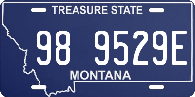 MT license plate 989529E