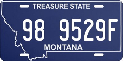 MT license plate 989529F