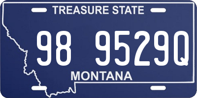 MT license plate 989529Q