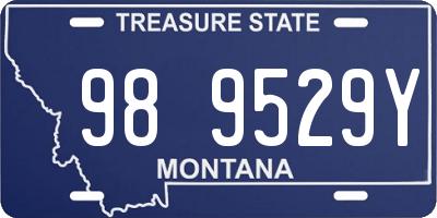 MT license plate 989529Y