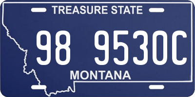 MT license plate 989530C