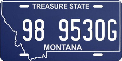 MT license plate 989530G