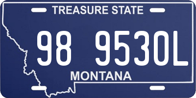 MT license plate 989530L