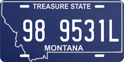 MT license plate 989531L