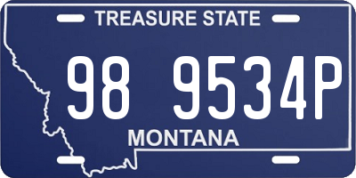 MT license plate 989534P
