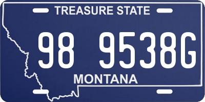 MT license plate 989538G