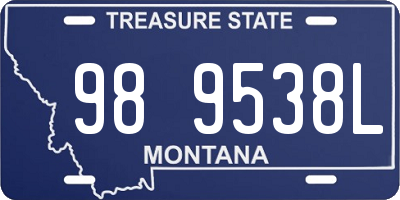 MT license plate 989538L