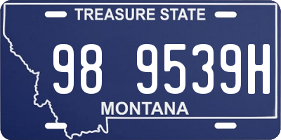 MT license plate 989539H