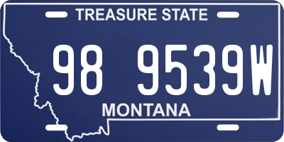 MT license plate 989539W