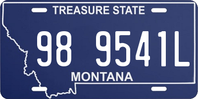 MT license plate 989541L