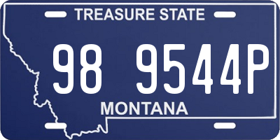 MT license plate 989544P