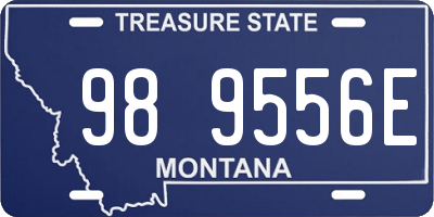 MT license plate 989556E