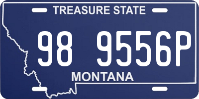 MT license plate 989556P