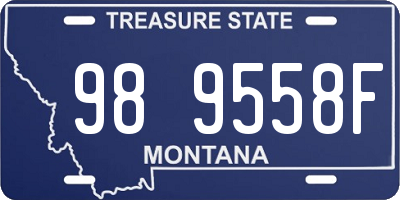 MT license plate 989558F