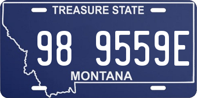 MT license plate 989559E