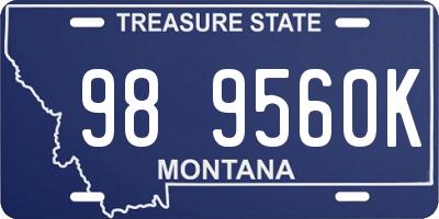 MT license plate 989560K