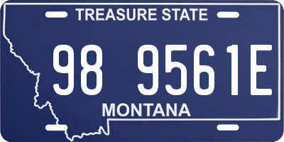 MT license plate 989561E