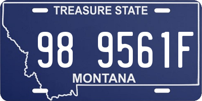 MT license plate 989561F