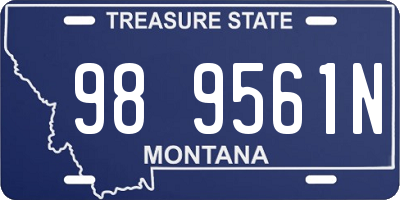 MT license plate 989561N