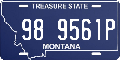 MT license plate 989561P