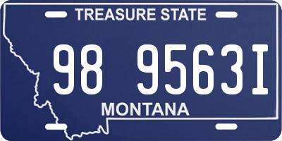 MT license plate 989563I