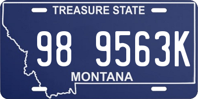 MT license plate 989563K