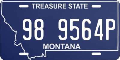 MT license plate 989564P