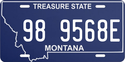 MT license plate 989568E
