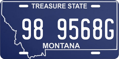 MT license plate 989568G