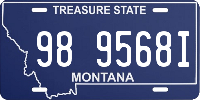 MT license plate 989568I