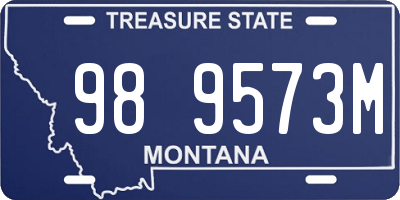 MT license plate 989573M