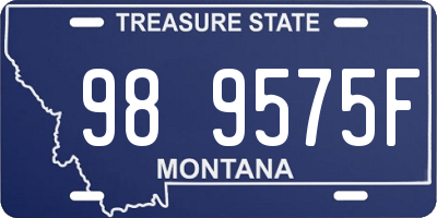 MT license plate 989575F