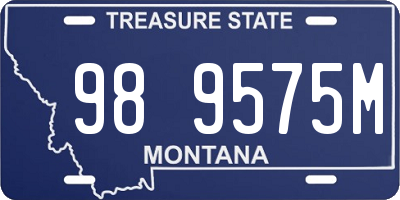 MT license plate 989575M