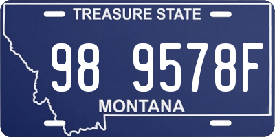 MT license plate 989578F