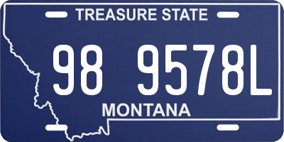 MT license plate 989578L