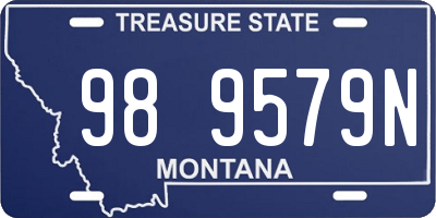 MT license plate 989579N