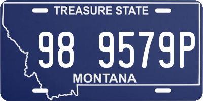 MT license plate 989579P