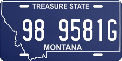 MT license plate 989581G