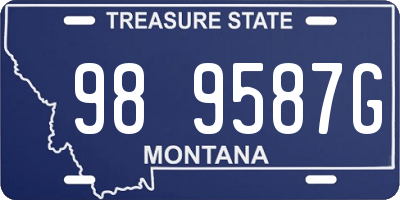 MT license plate 989587G
